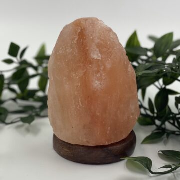 Natural Shape USB Lamp