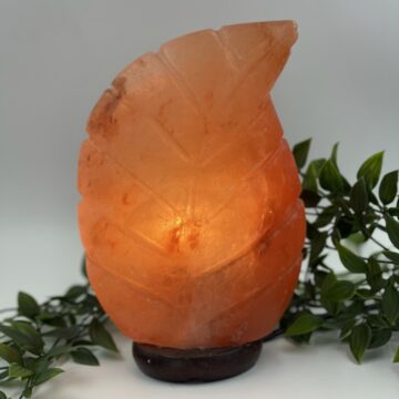 Leaf Salt Lamp