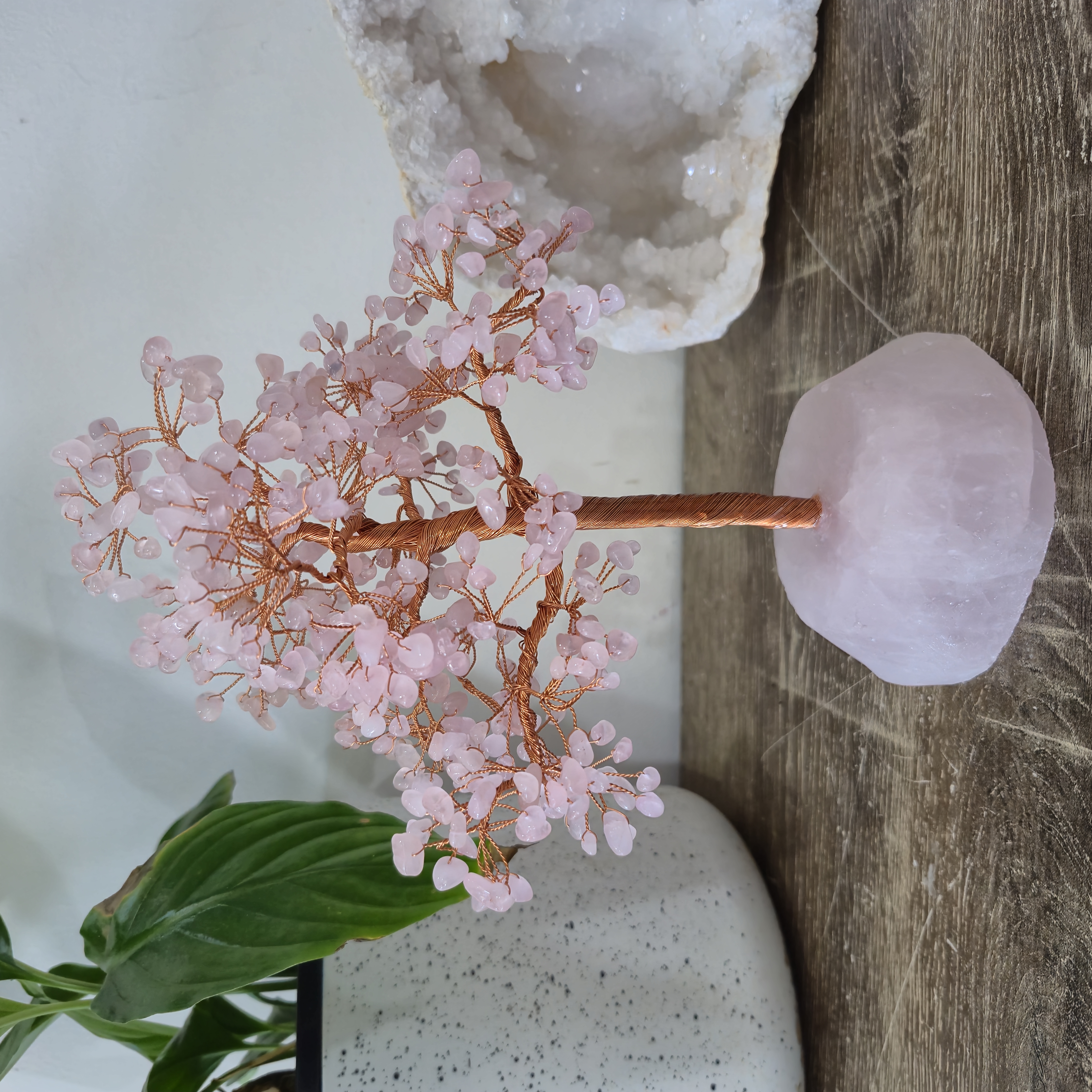 25cm Rose Quartz Tree - 290 crystals